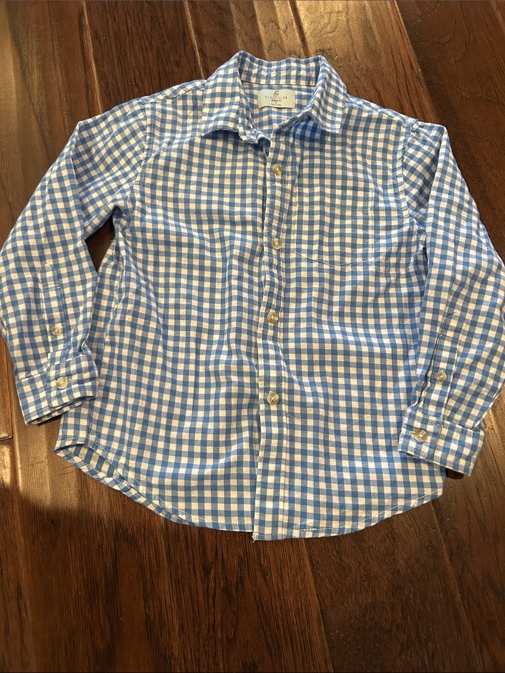 Classic Blue Gingham Button-Down Shirt for Kids